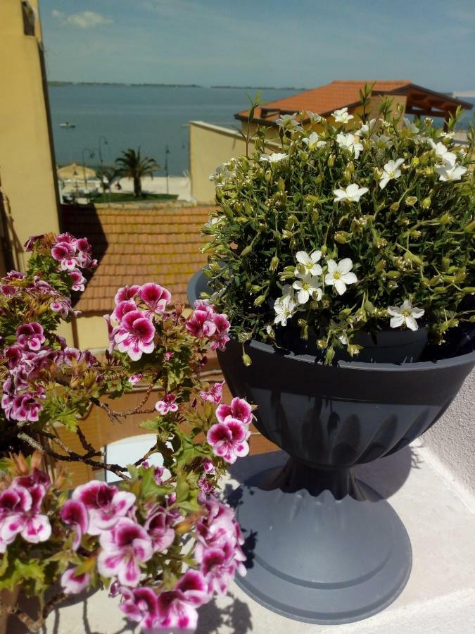B&B La Felicita Lesina Eksteriør bilde